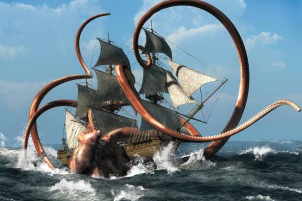 Kraken 24 top