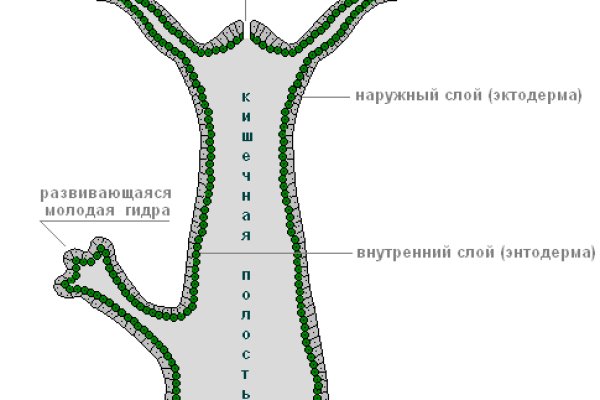 Кракен магазин наркоты